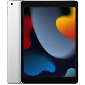 Apple iPad (2021) 256 Go Wi-Fi Argent - Publicité