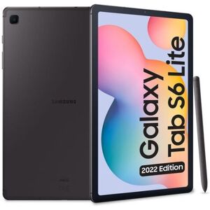 Samsung Galaxy Tab S6 Lite 2022 64GB P613 Gris