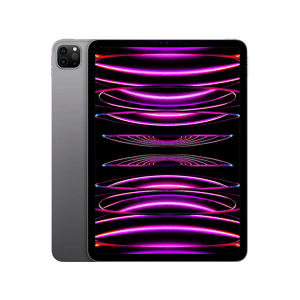 Apple iPad Pro 11'' Chip M2 (4ª Generazione) Wi-Fi 2TB Grigio Siderale