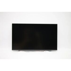 Lenovo 5D11B07705 ricambio per laptop Display [5D11B07705]