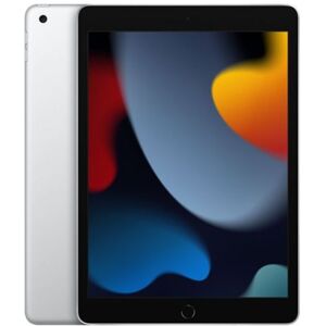 Apple iPad 2021 256Gb Wifi 10.2 Silver Italia