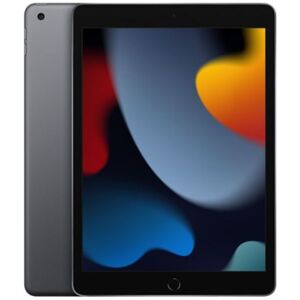 Apple iPad 2021 256Gb Wifi 10.2 Space Grey EU