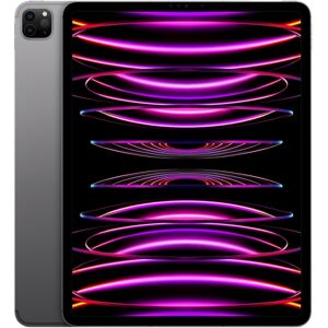 Apple ipad pro 2022 6gen 12.9