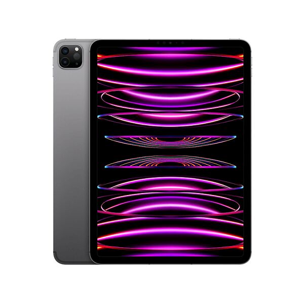 apple ipad pro 11'' chip m2 (4ª generazione) wi-fi + cellular 1tb grigio siderale