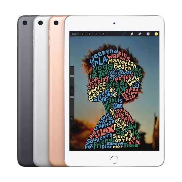 apple ipad mini 5 (2019)   7.9   256 gb   4g   rosé dorato