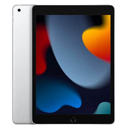 Apple iPad 2021 64 GB Argento Wi-Fi grade A