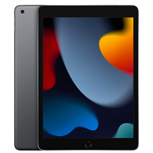 Apple iPad 2021 256 GB Grigio siderale Wi-Fi grade A