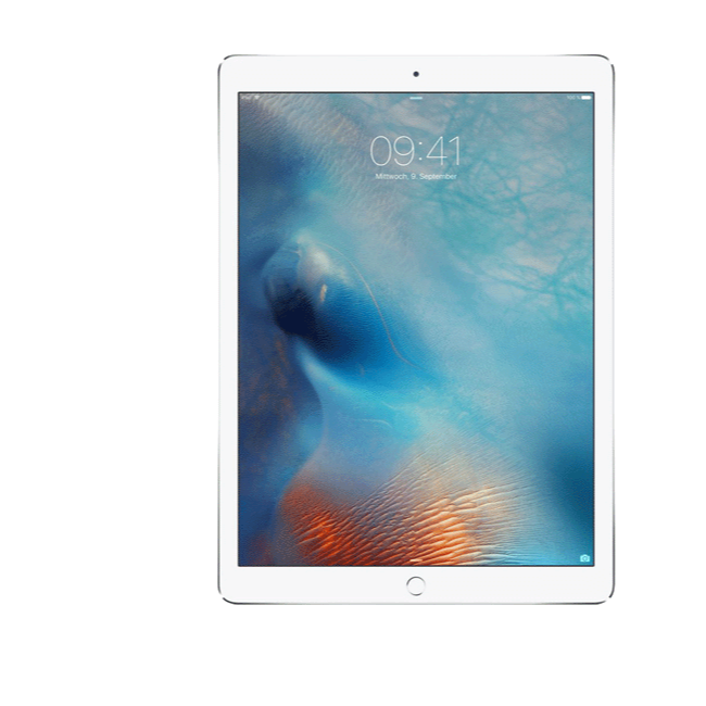 Apple iPad mini 3 16 GB Argento Wi-Fi + Cell grade B