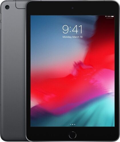 Apple iPad mini 5 (2019)   7.9"   256 GB   4G   grigio siderale