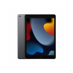 Apple 10.2-Inch Ipad Wi-Fi 256gb - Grigio Siderale (9th Generazione) - Mk2n3ty/a