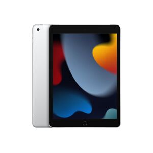 Apple Ipad 10,2'' 4g (9.Gen) 256gb, Sølv