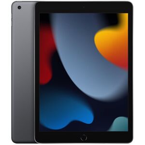 Apple Ipad 10,2'' 4g (9.Gen) 64gb, Stellargrå