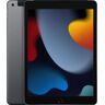 Apple iPad (10.2'' - 256 GB - Wi-Fi+Cellular - Cinzento Sideral)