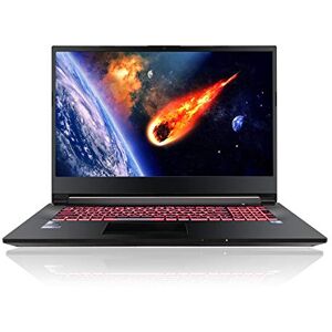 HoMei 32 GB RAM, 512 GB SSD, 1 TB HDD, 17.3" IPS Full HD 8 Cores 11th Gen Intel Core i7-11800H 4.6 GHz Gaming Notebook Laptop PC, GeForce RTX 3060 6 GB GDDR6 Dedicated Graphics, Backlit Keyboard, HDMI