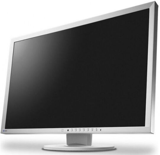 Eizo 24.1 Zoll Eizo EV2430-GY