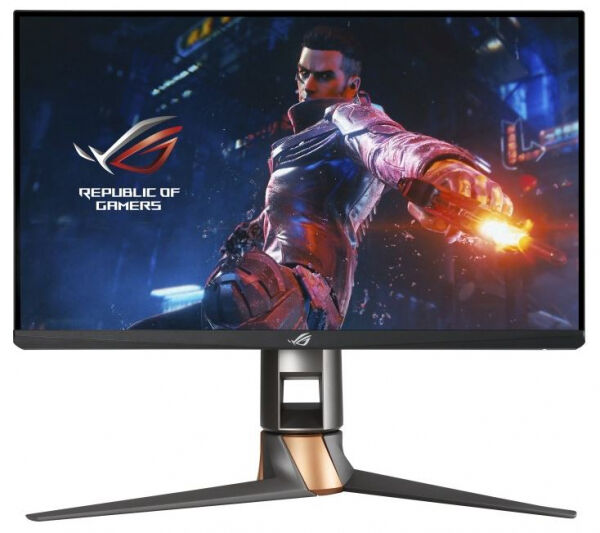 Asus 24.5 Zoll ASUS PG259QNR