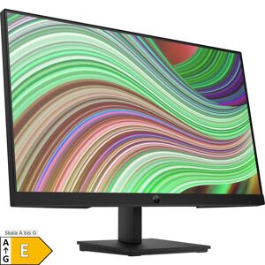 HP LED-Monitor V24v G5