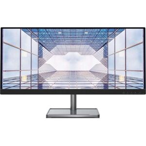 Lenovo L29w-30 73,7 cm (29