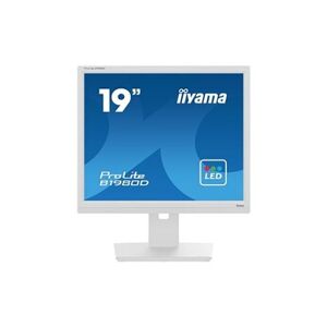 Iiyama ProLite B1980D-W5 - Ecran LED - 19" - 1280 x 1024 @ 60 Hz - TN - 250 cd/m² - 1000:1 - 5 ms - DVI, VGA - blanc mat - Publicité