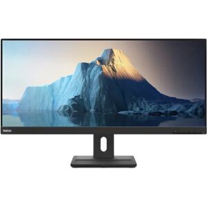 Lenovo Monitor  ThinkVision E29w-20 LED display 73,7 cm (29