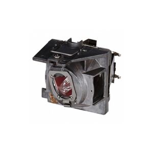 ViewSonic RLC-109 lampada per proiettore (RLC-109)