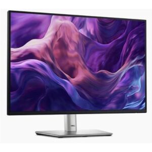 Dell 24 MONITOR - P2425