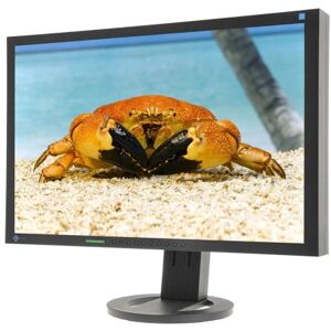 REFURBISED MONITOR 24 EIZO S2433W FULL HD (REFMON13)