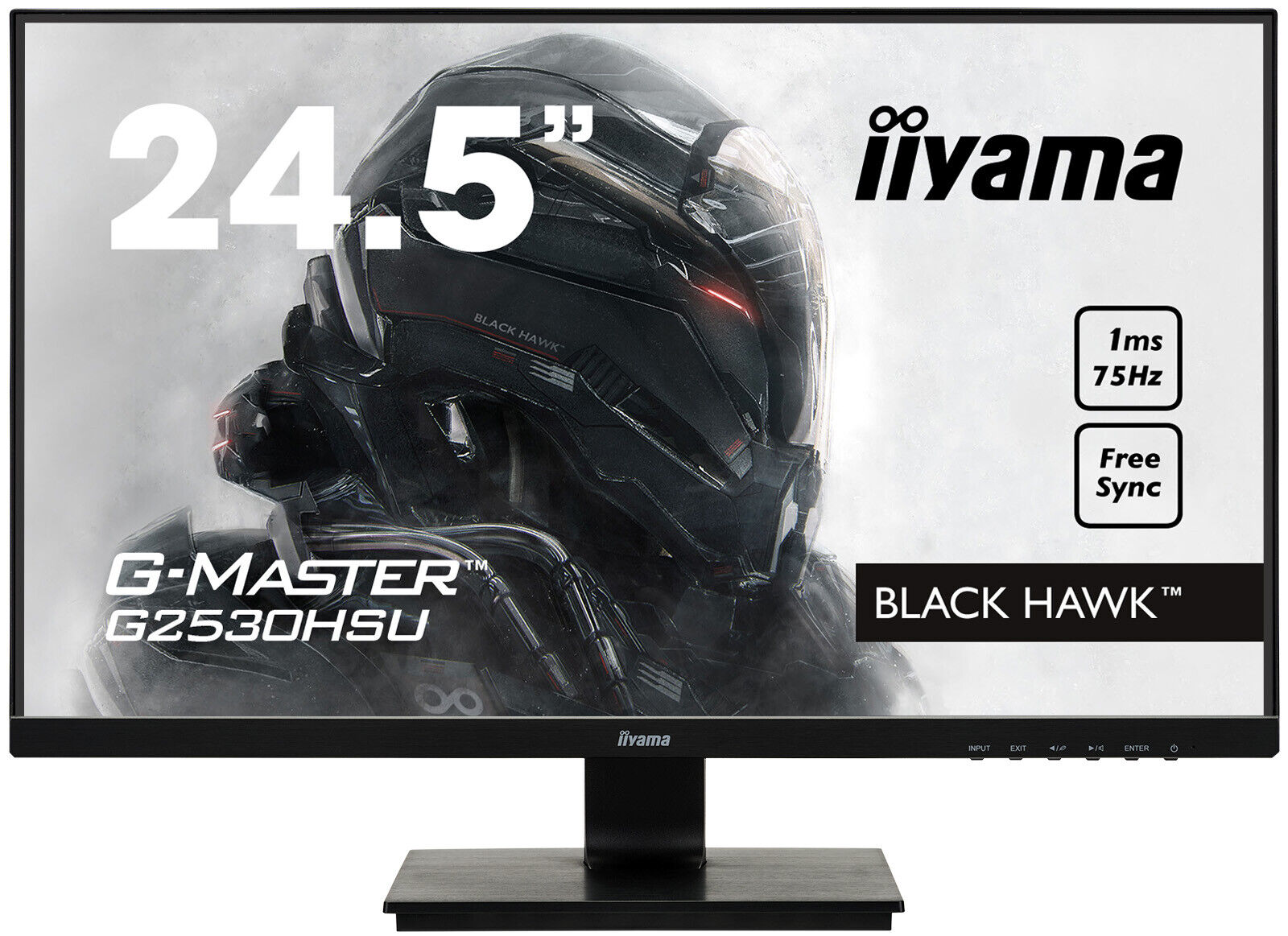 IIYAMA G-MASTER G2530HSU-B1