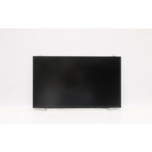 Lenovo Display 14.0 FHD IPS AG, 02DL764