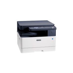 Xerox B1022 - Multifunktionsprinter - S/H - laser - 297 x 432 mm (original) - A3/Ledger (medie) - op til 22 spm (kopiering) - op til 22 spm (udskriver) - 350 ark - USB 2.0, LAN