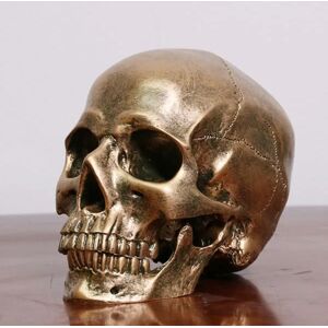 Human Bronze Resin Skalle Model Halloween Realistic 1:1 Staty Gold One Size