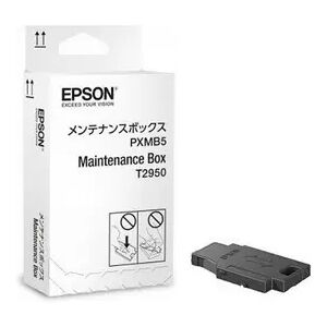 Tanica di manutenzione originale Epson WORKFORCE WF-100W COLORE