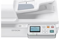 Epson Network Scan Module - serveur de scanner - 10/100 Ethernet