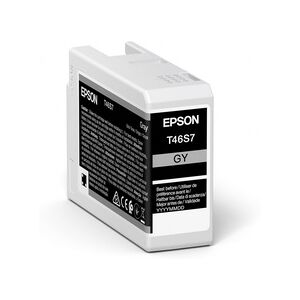 Epson Patrone C13T46S700 Gray 25ml für P700