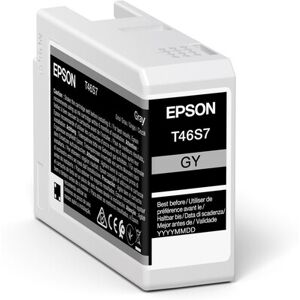 Epson C13t46s700 Blækpatron, Grå