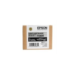 T5809 Cartucho de tinta (Epson T580900) gris claro