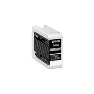 Epson T46S9 encre photo gris clair 25ml pour imprimante SC-P700 - Publicité