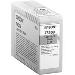 Epson Originale C13T850900   nero light light