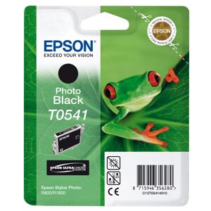 Epson T0541 Photo black till Stylus R800/R1800