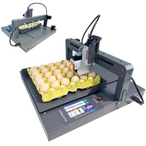 GDNG Automatic Egg Date Coding Printing Machine Stamping Expiry Code On Egg Inkjet Printer