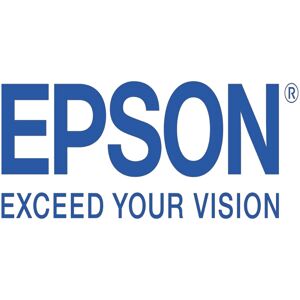 Original Epson C13S050198 Black Toner Cartridge