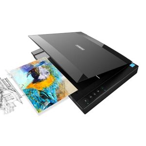 Viisan VF3120, scanner a superficie piana Din-A3. Max. Risoluzione 1200 x  1200 DPI. Con software ViiScan per Windows & Mac : : Informatica