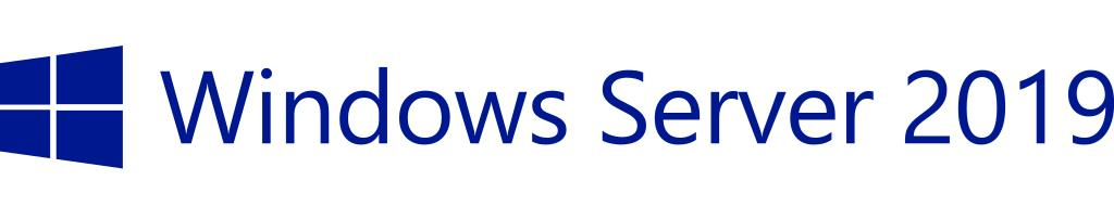 HP Microsoft Windows Server 2019 1 licenza/e Licenza Multilingua