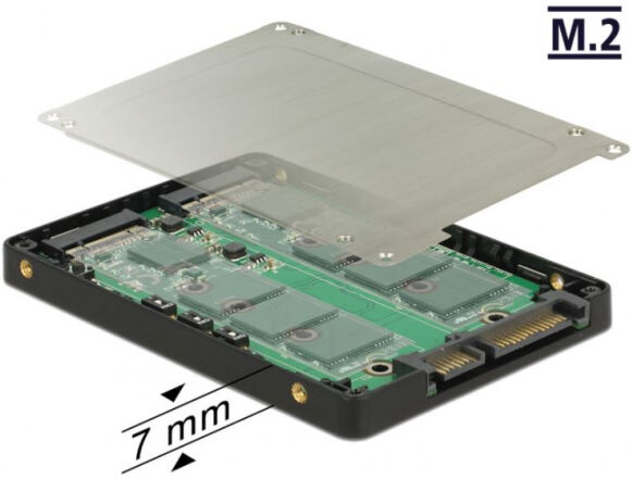 DeLock 62791 - 2.5 Zoll Konverter SATA 22 Pin > 2 x M.2 mit RAID mit Gehäuse