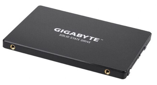 Gigabyte SSD (GP-GSTFS31100TNTD) - 2.5 Zoll SATA3 - 1TB