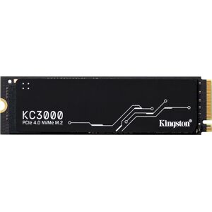 KINGSTON interne SSD 