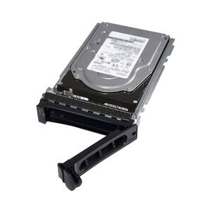 Dell Festplatte 1 TB Hot-Swap 3.5