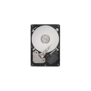 Lenovo ThinkSystem - Harddisk - 1 TB - intern - 3.5 - SATA 6Gb/s - 7200 rpm - for ThinkSystem SR250 (3.5)  SR530  SR550  SR570  SR590  ST250  ST550  ST650 V2 7Z74, 7Z75