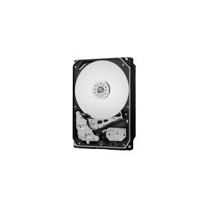 Western Digital WD Gold Datacenter Hard Drive WD2005FBYZ - Harddisk - 2 TB - intern - 3.5 - SATA 6Gb/s - 7200 rpm - buffer: 128 MB