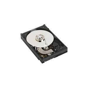 Dell - Harddisk - 1 TB - intern - 3.5 - SATA 6Gb/s - 7200 rpm - for Inspiron 32XX, 3650, 3847  OptiPlex 30XX, 7010, 9020  PowerEdge T130  Vostro 32X